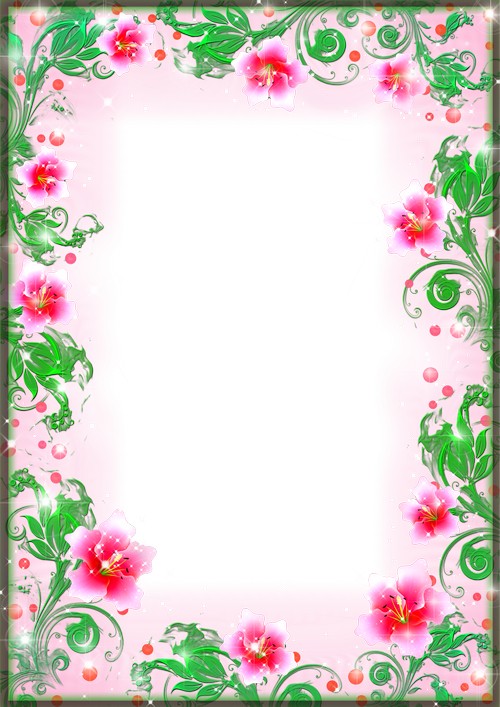 Pink Flower Frame PNG