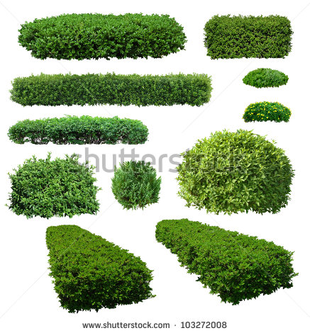 Plants with No Background Photoshop