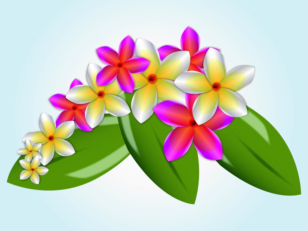 Plumeria Flower Clip Art