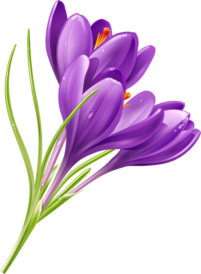 Purple Flower Graphics