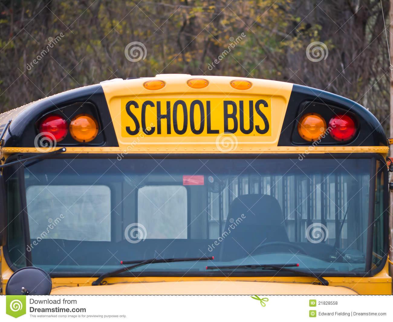 Royalty Free School Bus