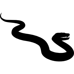 Snake Icon