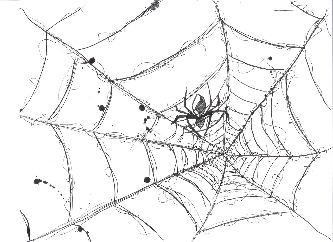 Spider Web Corner Transparent Spider Web Corner Transparent