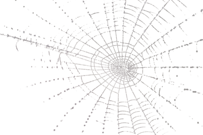Spider Web PSD Spider Web PSD