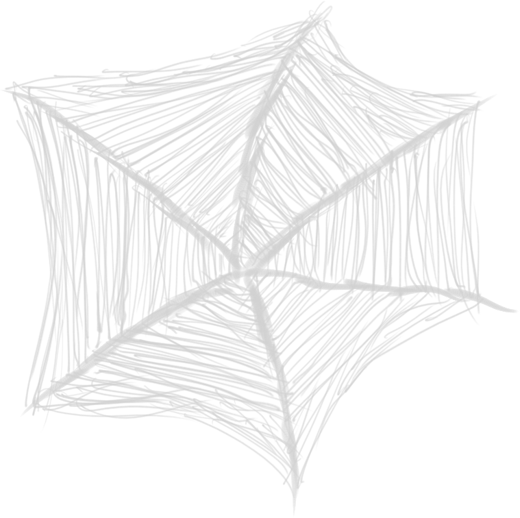 Spider Web Texture Spider Web Texture
