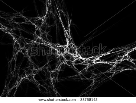 Spider Web Transparent Texture Spider Web Transparent Texture