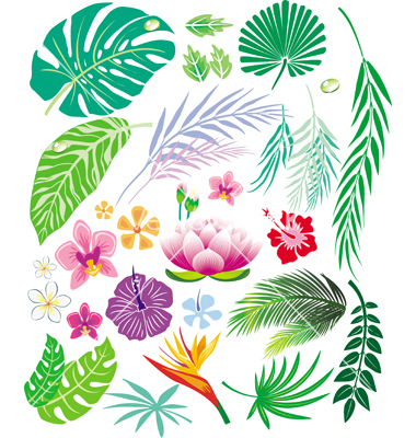 Tropical Leaves Vector Art Free