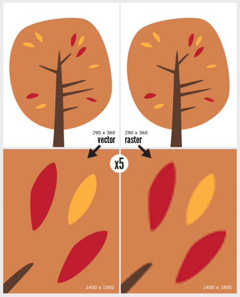 Vector Vs. Raster Bitmap Graphics