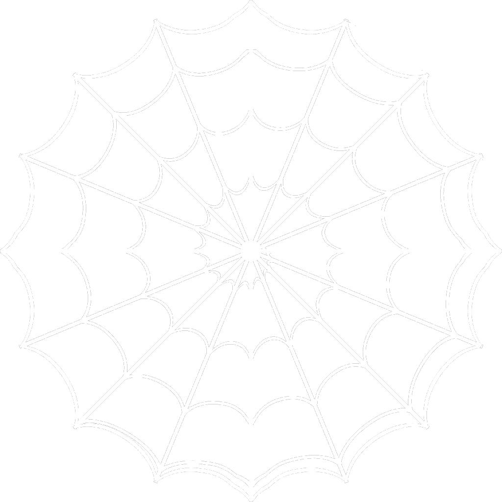 White Transparent Spider Web White Transparent Spider Web