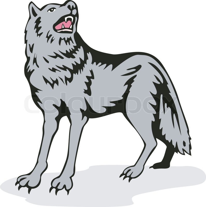 Wild Wolf Howling