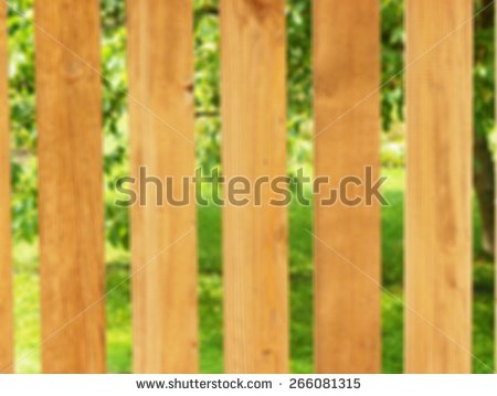 Wooden Picket Fence Grass