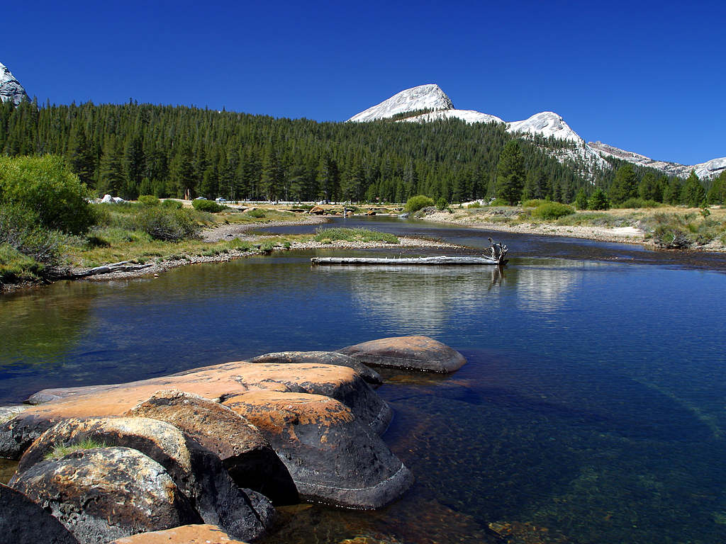 Yosemite Tuolumne Meadows