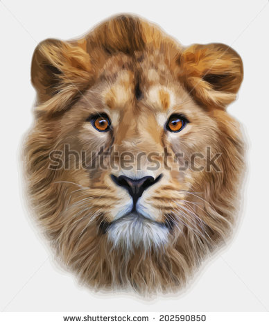 Asian Lion Face