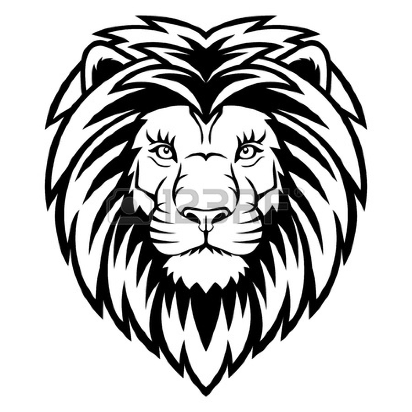Black and White Lion Head