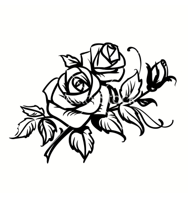 Black and White Rose Outline