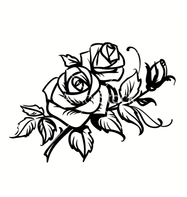 Black and White Rose Outline Black and White Rose Outline