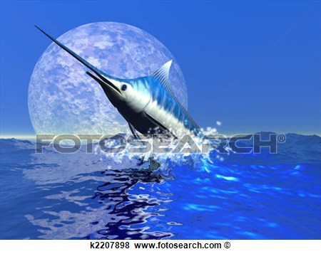 Blue Marlin Art