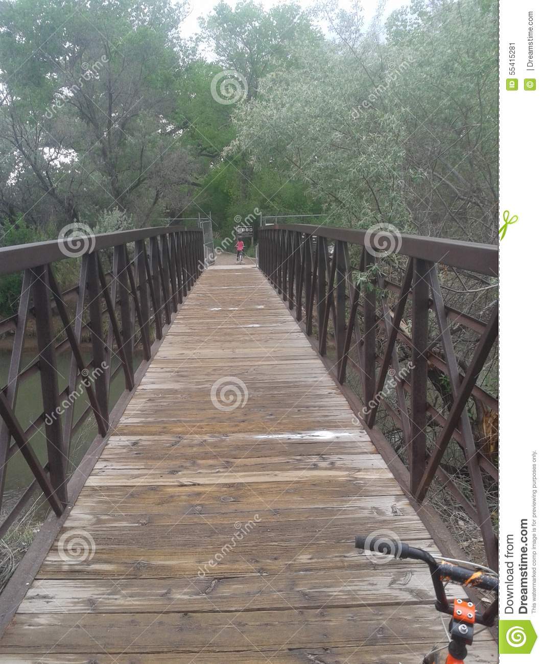 Bridges Crossing Rio Grande Pics