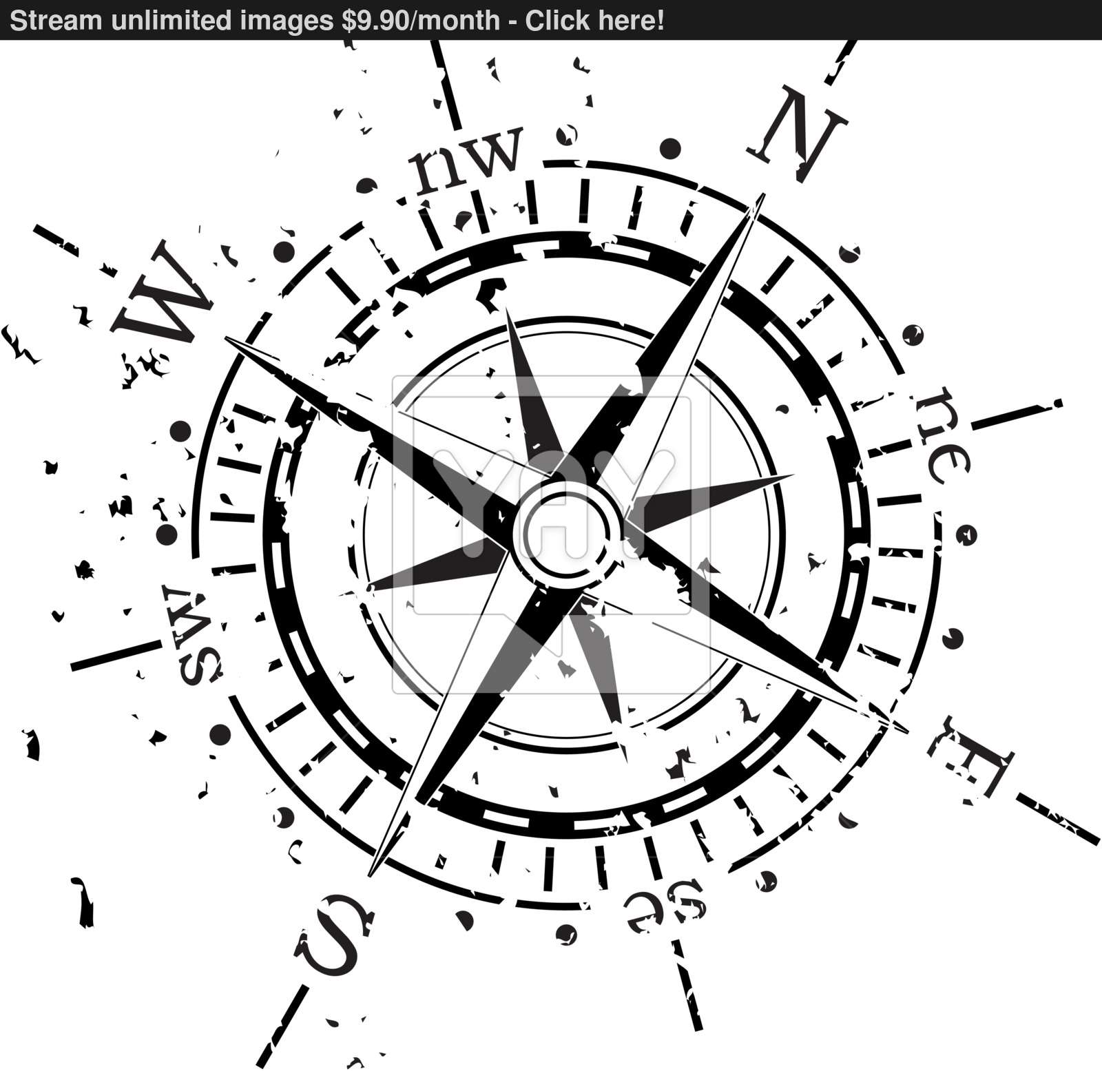 Compass Vector