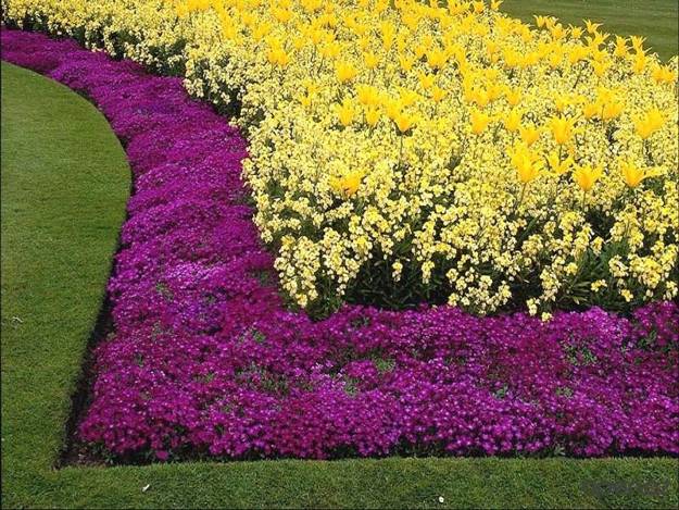 Garden Flower Bed Border