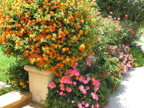 Garden Flower Bed Border