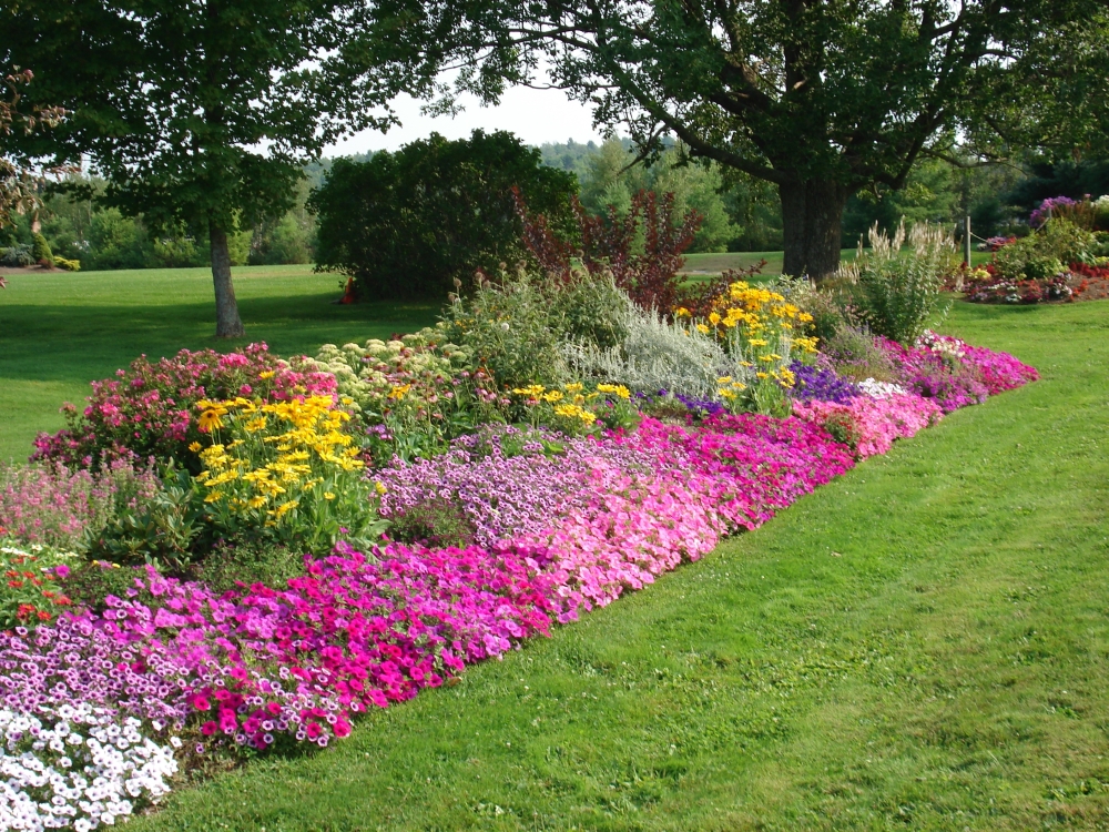 Garden Idea Small Flower Bed