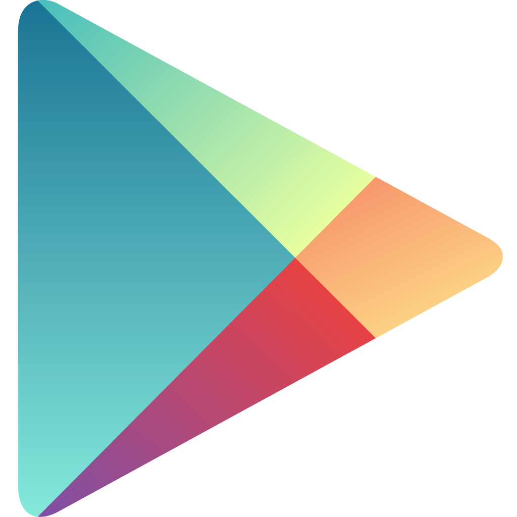 Google Play Store Icon