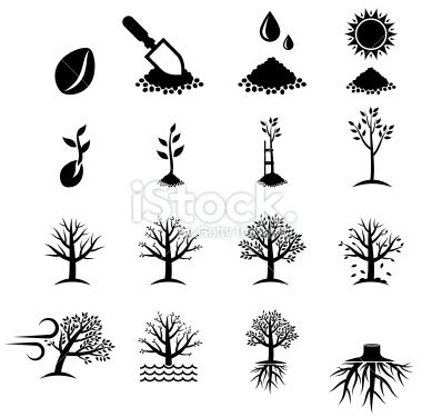 Growing Clip Art Black and White