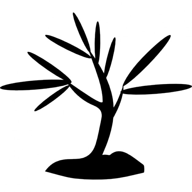 Growing Tree Icon