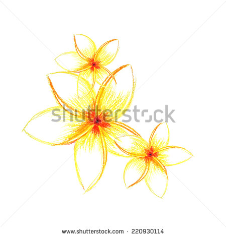 Hawaiian Tropical Flowers Vector