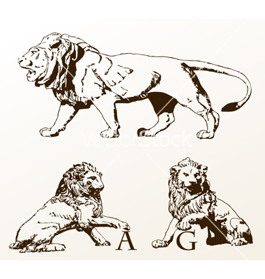 Heraldic Lion Vector