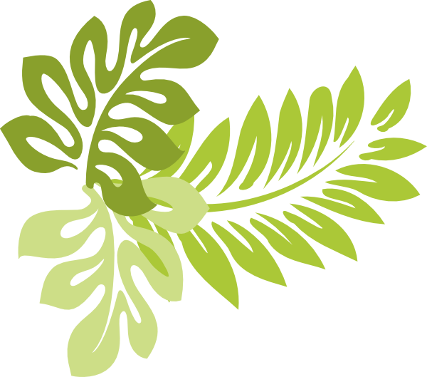 15 Hawaii Leaf Vector Clip Art Images