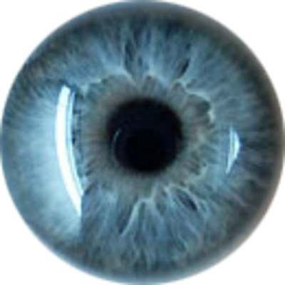 Iridology Blue Eye Color