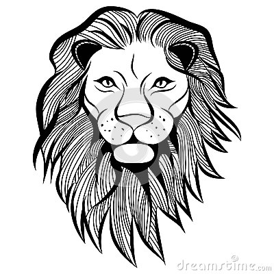Lion Head Sketches