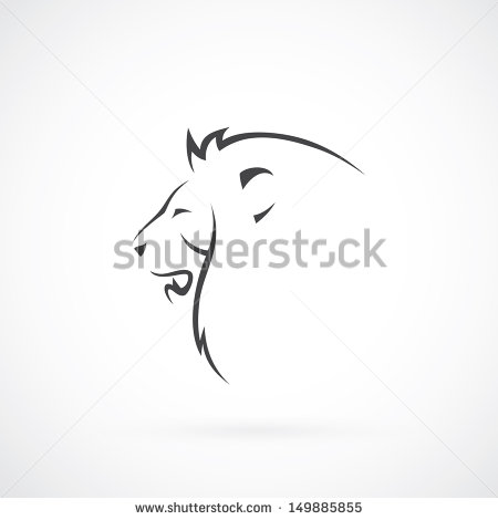 Lion Head Vector Illustration