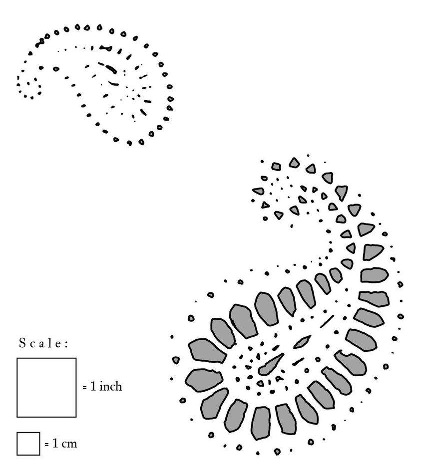 Paisley Pattern Stencil Design