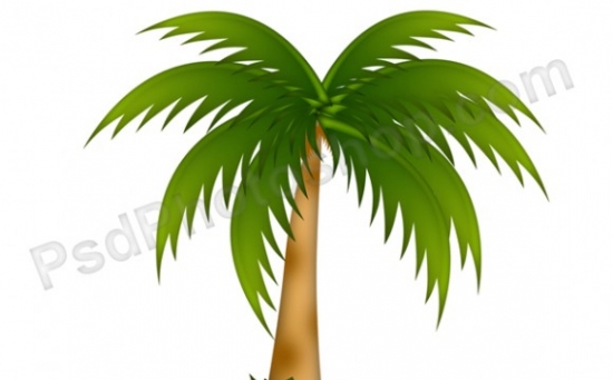 Photoshop Palm Tree Drawing