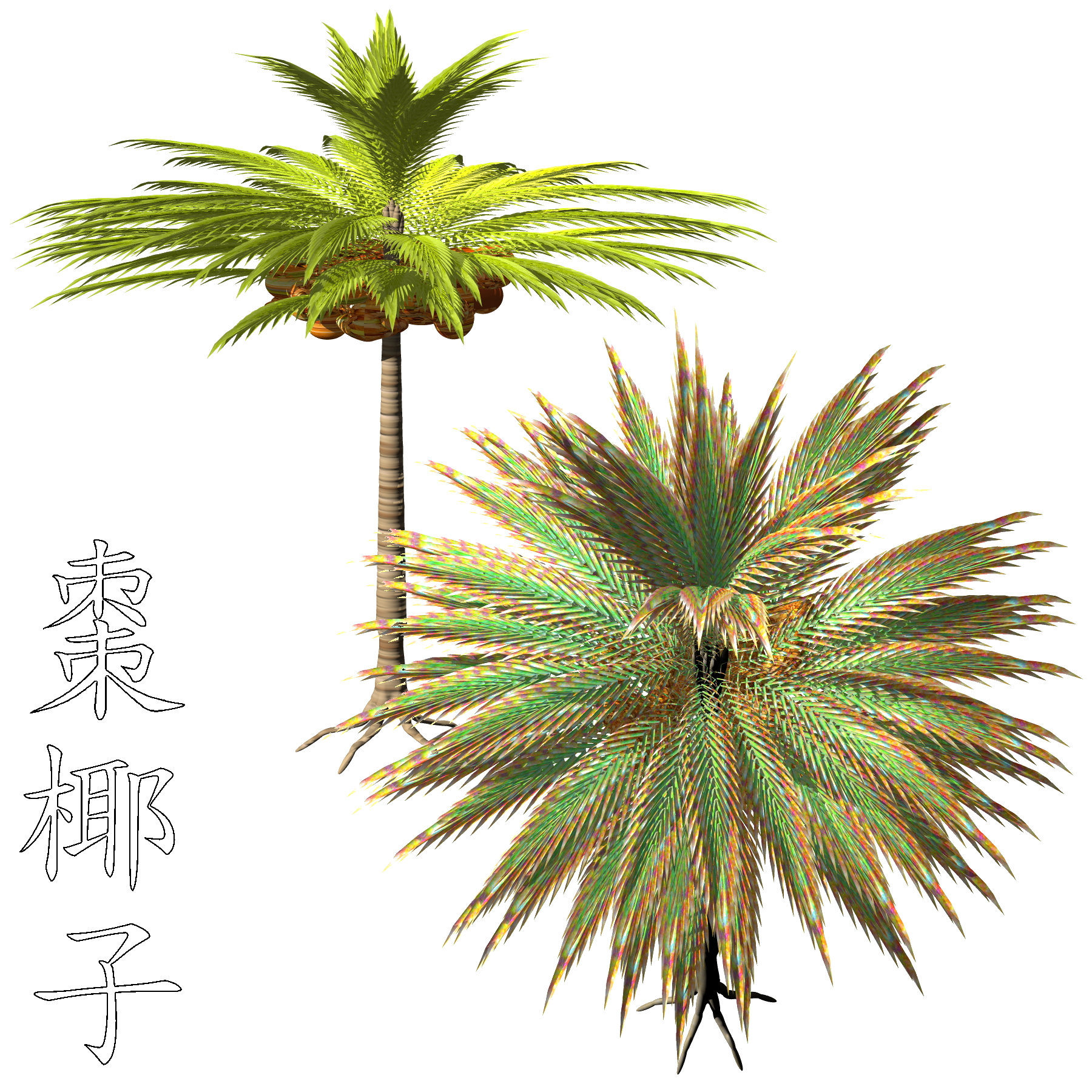Photoshop Transparent Palm Trees