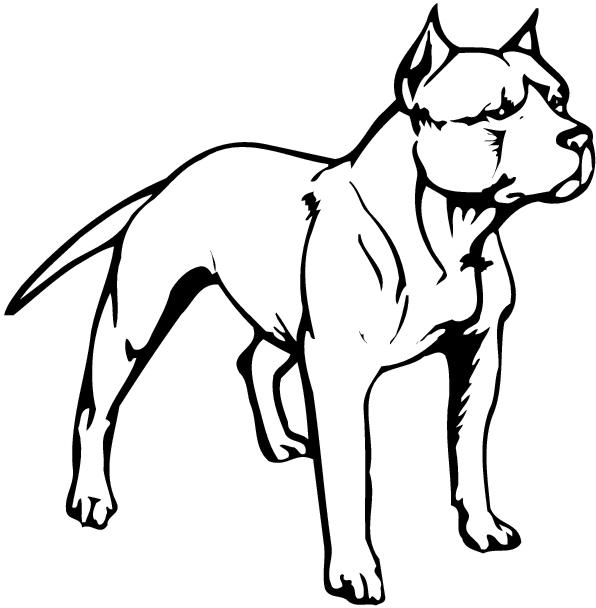 10 Pit Bull Vector Art Images