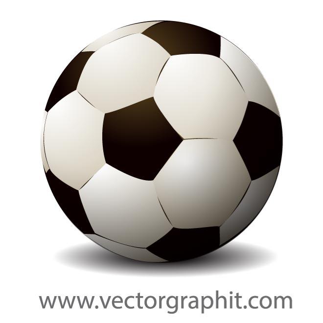 Soccer Ball Illustration Vector