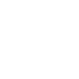 Transparent Tumblr Icon