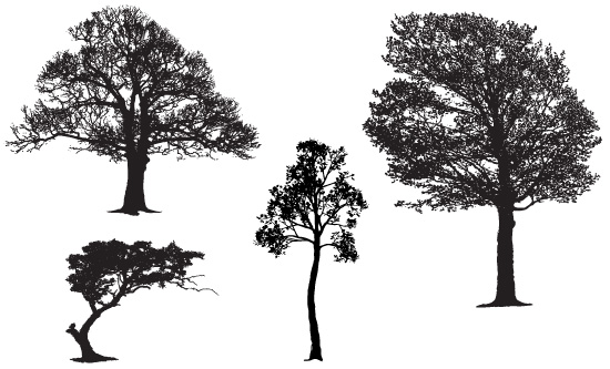 Tree Silhouette Free Vectors