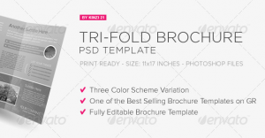 Tri-Fold Brochure Template PSD