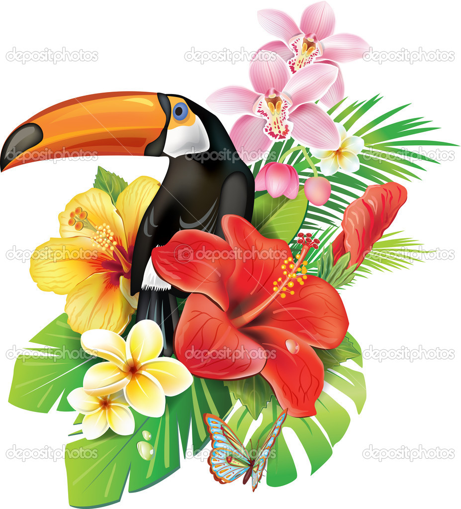 Tropical Flower Illustration