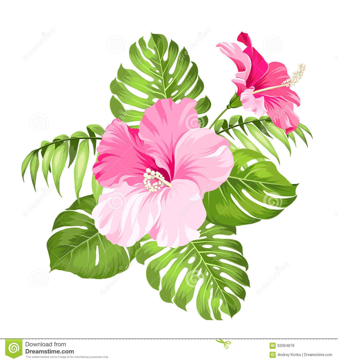 Tropical Flower Illustration