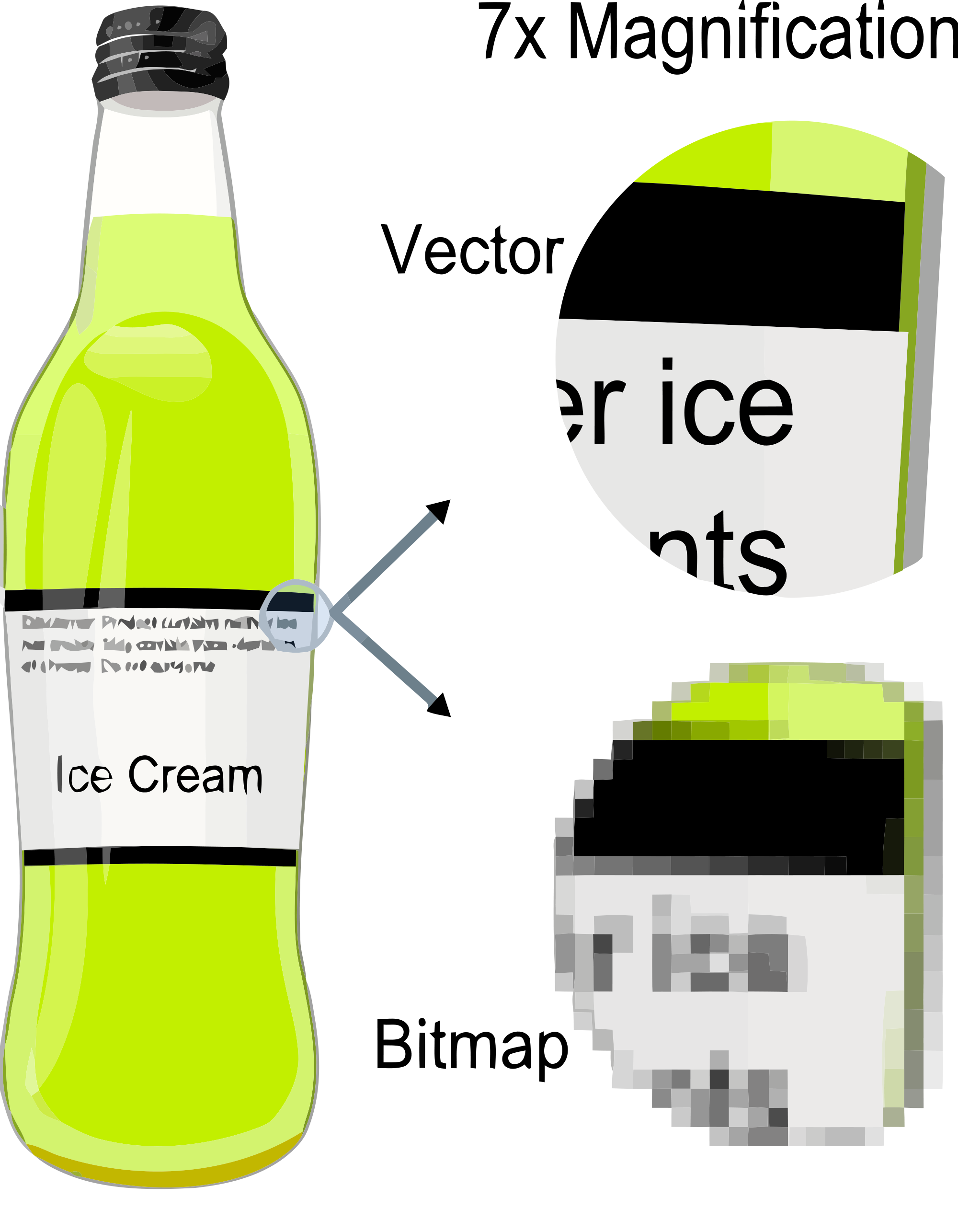 Vector and Bitmap Graphics Vector and Bitmap Graphics