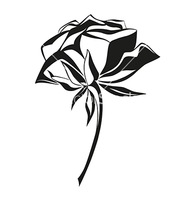 Vector Art Black and White Roses