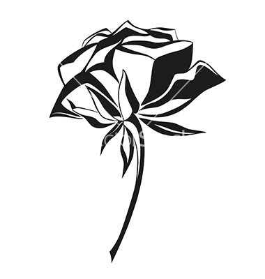 Vector Art Black and White Roses Vector Art Black and White Roses