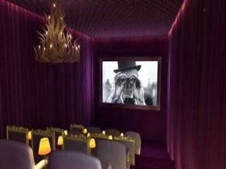 VIP Icon Theater Roosevelt Chicago Movie