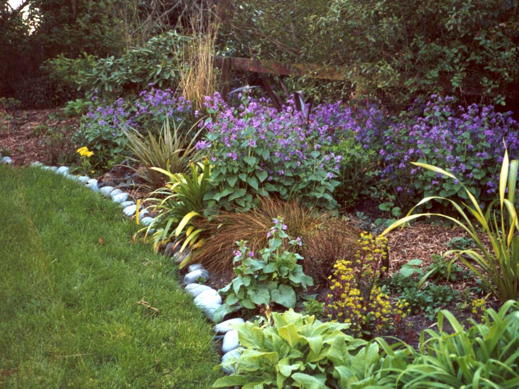 Wild Flower Garden Borders